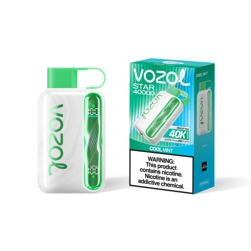 Vozol Star 40000 Cool Mint
